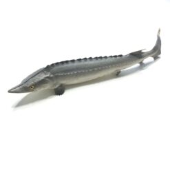 Alternative view of Kunstig stør