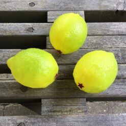 Citrus lime i plastik