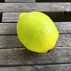 Alternative view of Citrus lime i plastik