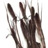Brun tørrede buket