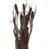 Brun tørrede buket