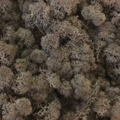 Brun præserveret mos 50g