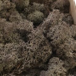 Alternative view of Brun præserveret mos 50g