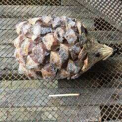 Alternative view of Dekorativt pindsvin i naturmateriale 