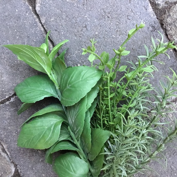 Naturtro Krydderurter