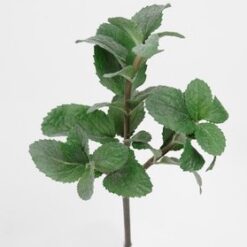 Kunstig meget naturtro mynte