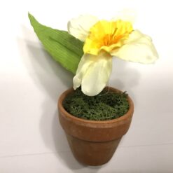 Dekorativ mini påskelilje