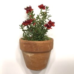 Rød dekorativ mini blomst