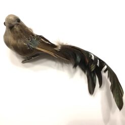 Smuk fugl a'la gråspurv