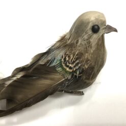 Alternative view of Smuk fugl a'la gråspurv