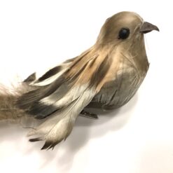 Alternative view of Fugl med smuk hale