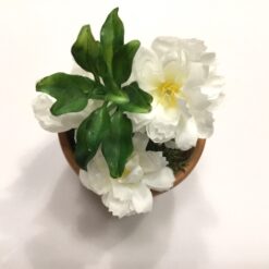 Alternative view of Dekorativ hvid mini blomst