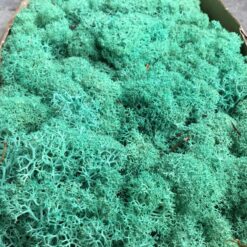 Søgrøn præserveret mos 50g 50g