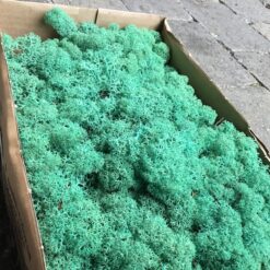 Alternative view of Søgrøn præserveret mos 50g