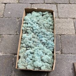 Alternative view of Kasse Islandsk mos lyseblå farve