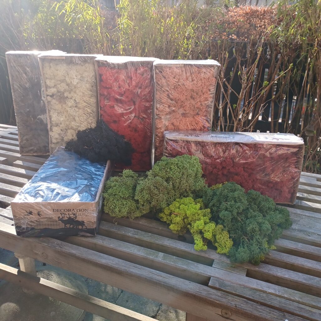 Præserveret Dekorationsmaterialer