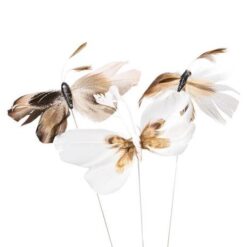 Alternative view of Fjer sommerfugl