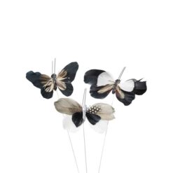 Alternative view of Sort fjer sommerfugl