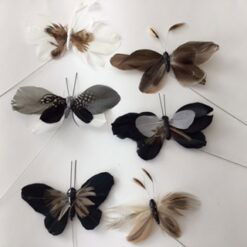 Alternative view of Fjer sommerfugl i sort