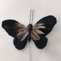 Sort fjer sommerfugl