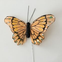 Ferskenfarvet sommerfugl med kontrastfarver