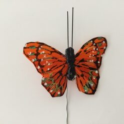 Stærk orange lille sommerfugl