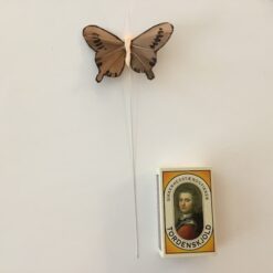 Alternative view of Lille brun fin sommerfugl