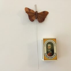 Alternative view of Lille brun glimmer sommerfugl