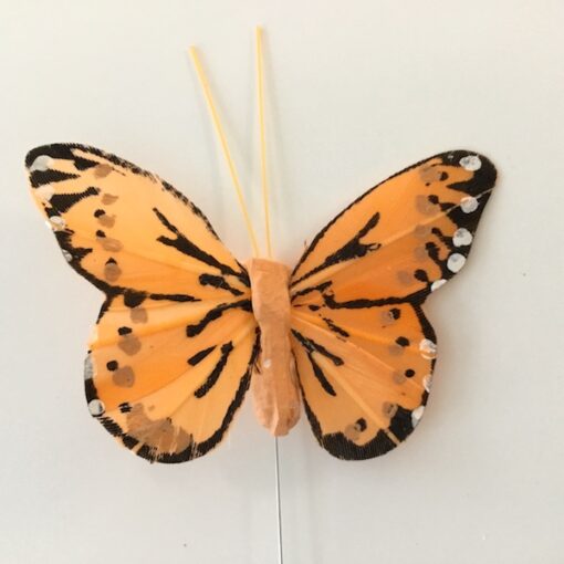 Lille lys orange sommerfugl