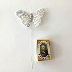 Alternative view of Stor sølvstribet glimmer sommerfugl