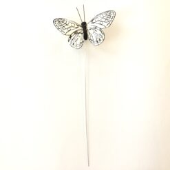 Alternative view of Sort og hvid sommerfugl