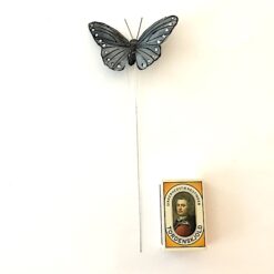 Alternative view of Grå blå sommerfugl