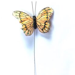 Alternative view of Ferskenfarvet sommerfugl med kontrastfarver