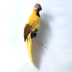 Papegøje i gul farve