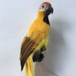 Alternative view of Papegøje i gul farve