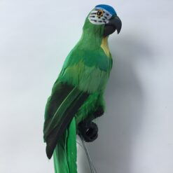 Alternative view of Stor papegøje i grøn farve