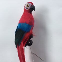Alternative view of Stor papegøje i rød farve