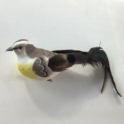 Smuk langhalet grå fugl