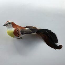 Gylden langhalet fugl 