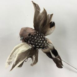 Stribet brun flyvende fugl