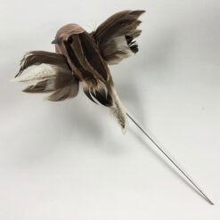 Alternative view of Stribet brun flyvende fugl