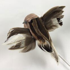 Stribet brun flyvende fugl