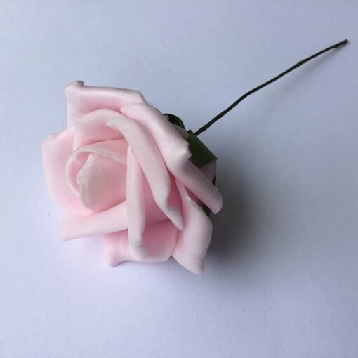 Flot rosa skumrose