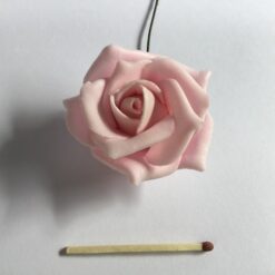 Alternative view of Flot rosa skumrose