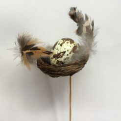 Lille fuglerede med æg