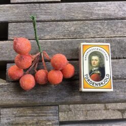 Alternative view of Orange bær kugler på tråd