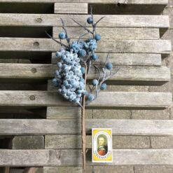 Alternative view of Naturtro lys blåbær gren