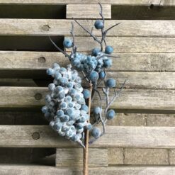 Naturtro blåbær gren