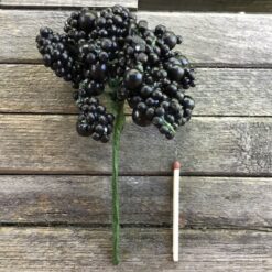 Alternative view of Naturtro sort bundt bær