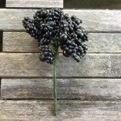 Naturtro sort bundt bær